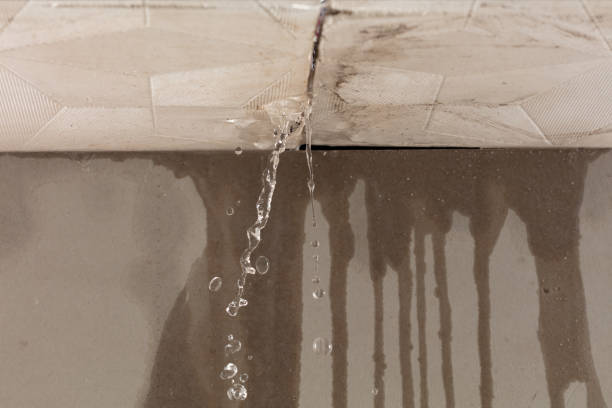 Professional Flood Damage Cleanup technician working in Grandview, MO